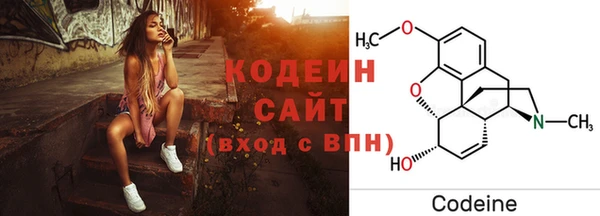 2c-b Бородино